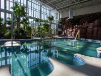 北京中家鑫园温泉酒店 - 室内游泳池