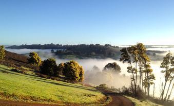 a winding dirt road surrounded by green grass and trees , with a foggy landscape in the background at Balingup Heights Hilltop Forest Cottages