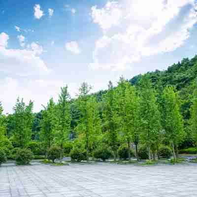 郴州龍女花園酒店 Hotel Exterior