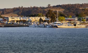 a marina with several boats docked along the waterfront , surrounded by buildings and trees in the background at Bayside Hotel