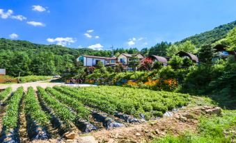 Prunnarae Pension Pyeongchang