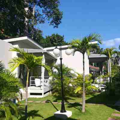 椰子棕櫚度假村 Hotel Exterior