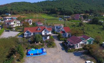 Taean (Anmyeondo) Evergreen Pension (with Large Dogs)