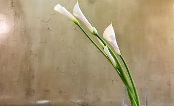 1. 루밍 호텔(충칭..