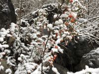 西岭雪山山水源宾馆 - 其他