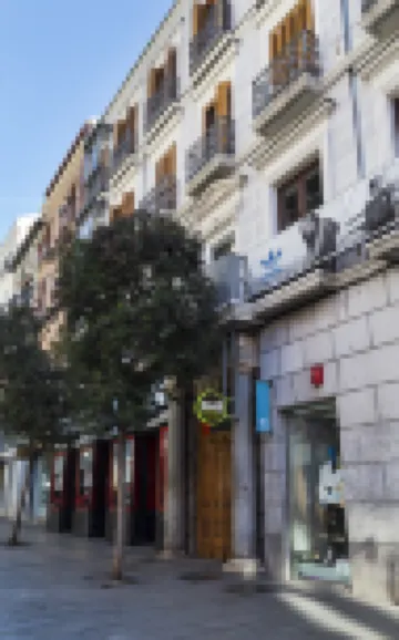 馬德里中心富恩卡拉爾46號民宿公寓 馬德里酒店