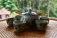 Chongqing Xinyue Homestay - agroturismo​