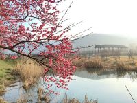 南京石塘田园e站竹卿舍田园民宿