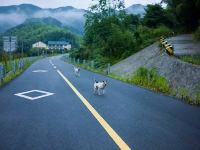 宁波怀澍山居民宿 - 酒店附近