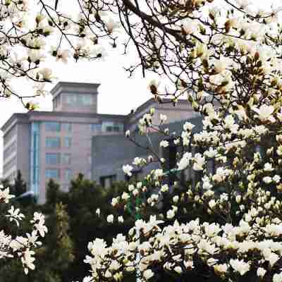 Shidao Hotel Hotel Exterior