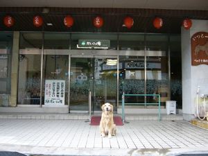 ペットと泊まれる温泉宿だいこく館