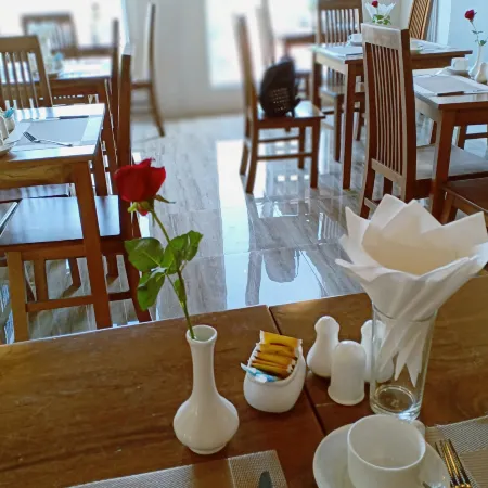 Hotel Duo Swan