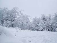 雪乡二浪河蜂园农家院 - 其他