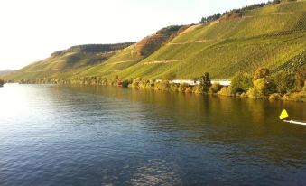 Gastehaus Wein im Turm