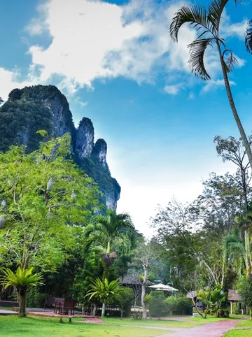 รูปภาพของแฟรงค์ อ่าวนาง กระบี่ รีสอร์ท