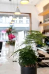 Wuzhwen Yuyue Homestay
