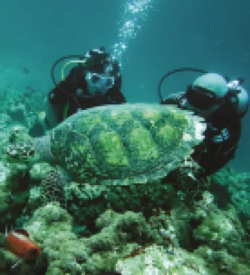 弗瓦姆拉卡里克斯大酒店