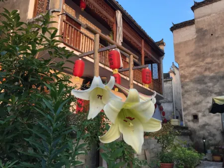 She De Yuan Boutique Homestay