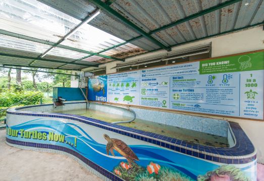 1. 글로리 비치 리..