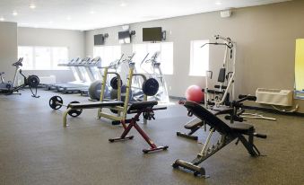 a well - equipped gym with various exercise equipment , such as treadmills , weight machines , and benches , arranged in rows at Newcastle Lodge & Convention Center