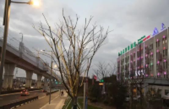 グリーンツリー(上海奉賢西渡) 西渡公園周辺のホテル