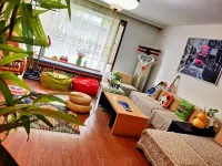 Timing Hostel Hotels in 