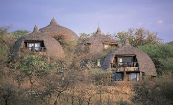 Serengeti Serena Safari Lodge