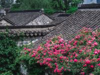 南京花迹酒店 - 花景