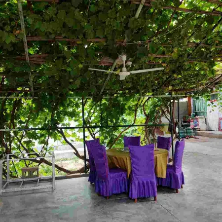 Huanghe Shilin Cuifang Farm Courtyard