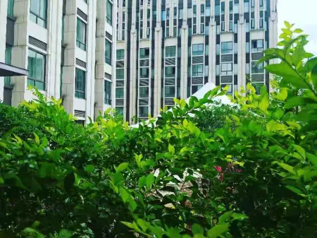 Bo Man Hotel Отели рядом с достопримечательностью «Shiji Square»