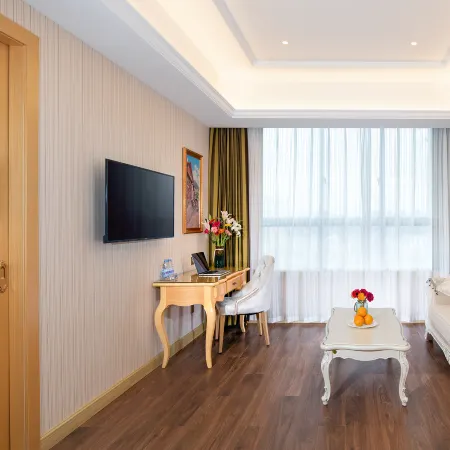 Vienna Hotel (Yingtan High-Tech Longhushan Avenue)