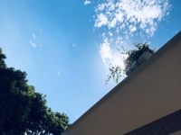溧阳陶然美岕酒店 - 花园