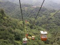 青城山景泰阁客栈 - 酒店附近