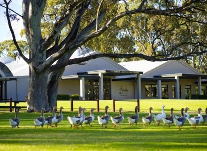 Serafino McLaren Vale