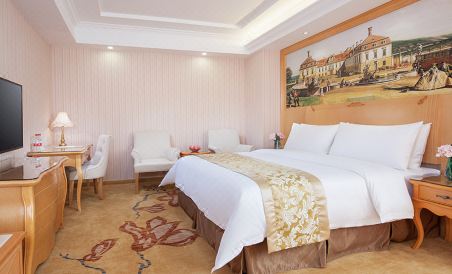 Vienna Hotel (Heyuan Heping) - Housity