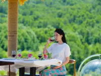 Songshu Inn Hotels in Fengning