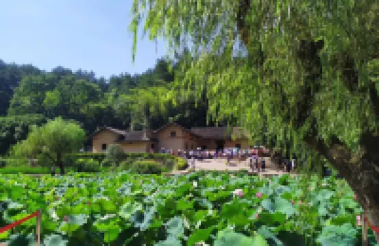 Mao Zexue Farmhouse