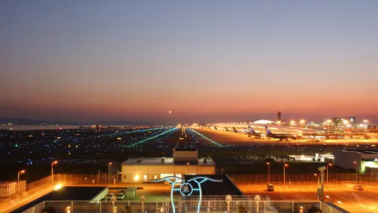 Hotel Nikko Kansai Airport