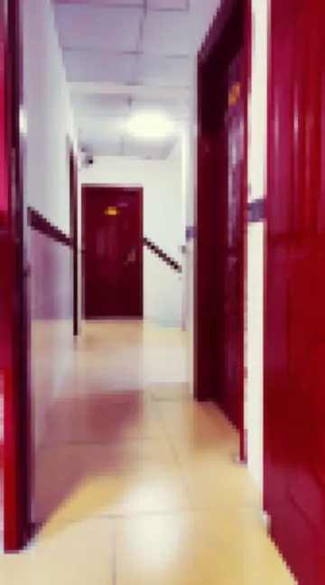 Xinxingfa Apartment