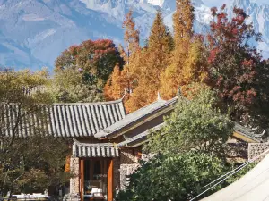 Top 50 Cultural Hotels in Lijiang