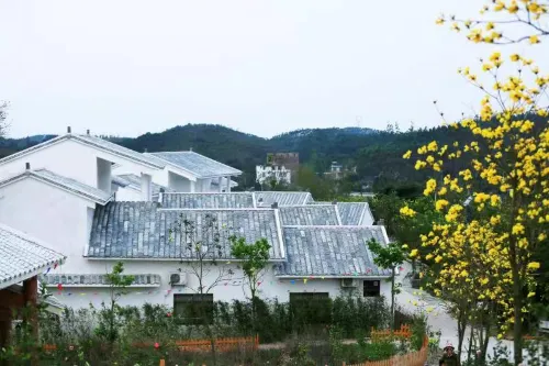 Fangchenggang Dalongkou Ecotourism Villa