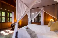 Wat PO House by Angkor Stays - Pools