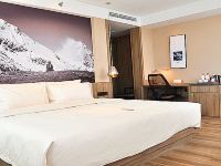 拉萨布达拉宫亚朵酒店 - 几木景观大床房
