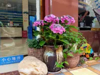 大邑花水灣柏雅酒店 - 2星級