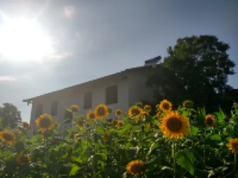 廣元家岸客棧