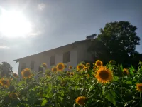 Jiaan Hotel Hoteller i Zhaohua District