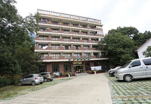 Old Trees surrounding apartment