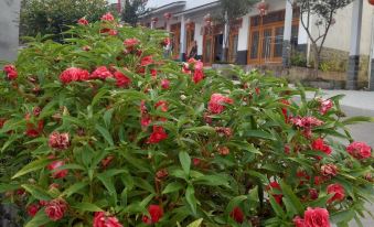 Wang's Farmhouse