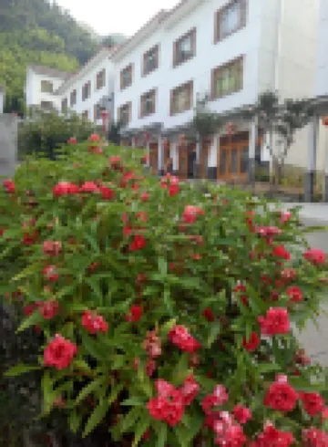 Wang's Farmhouse