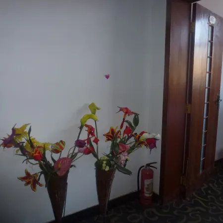 Shanyang Sanqin Hotel